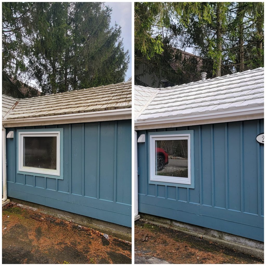 52e71e3e b9c1 4a57 b95c 40ca1f44f9dd 1024x1024