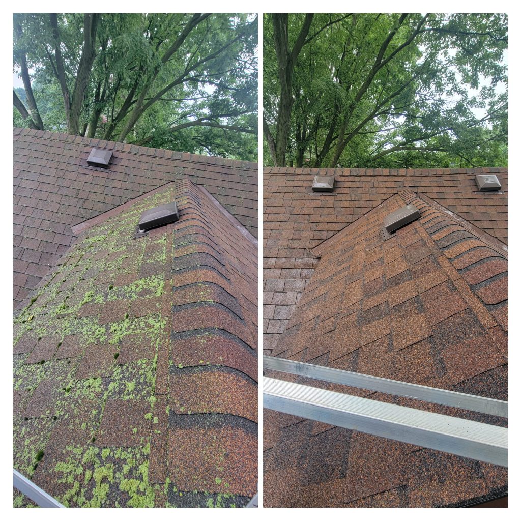 81a3c62d 36df 416b aa13 b13089aa14a6 1 1024x1024