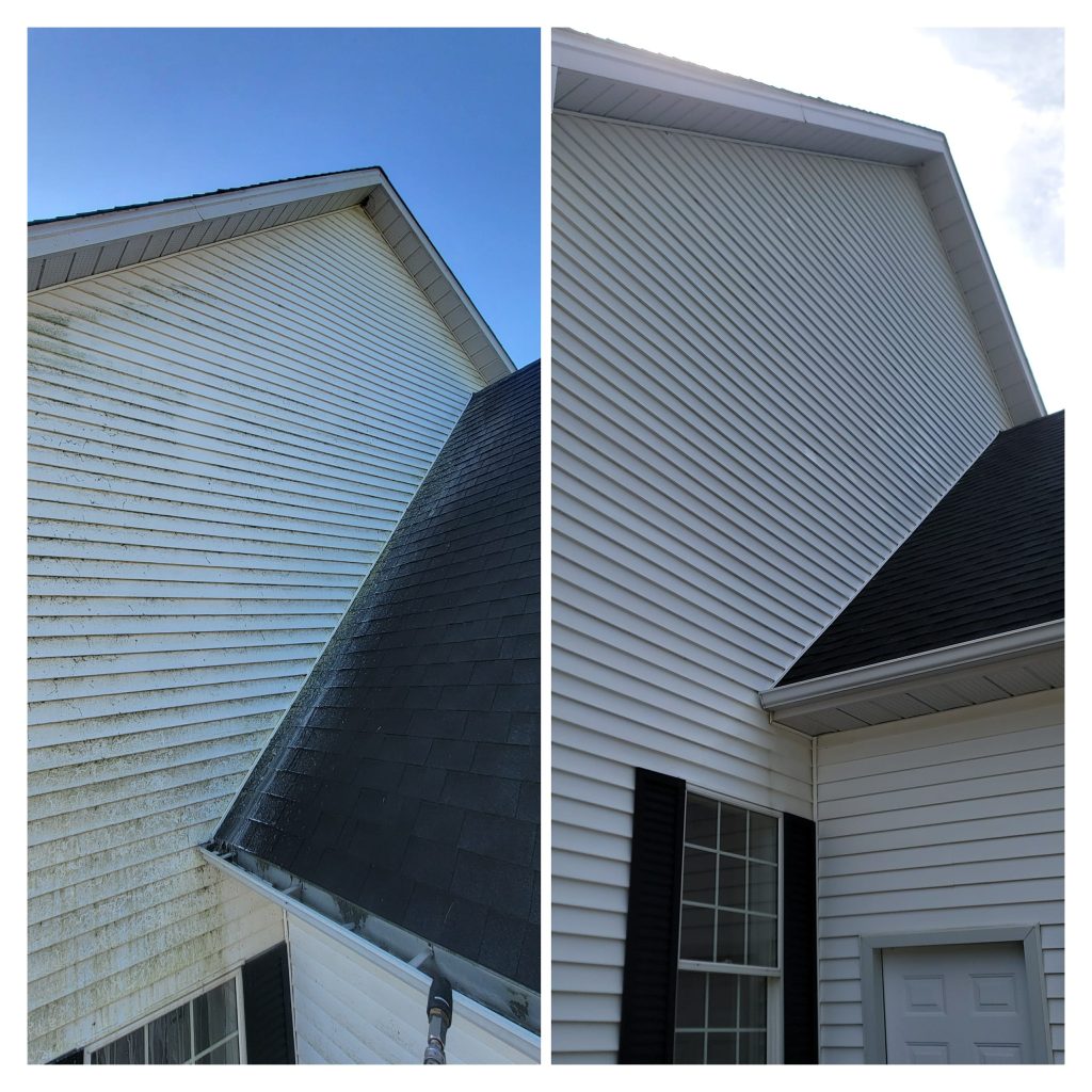 81cc6e54 bb29 440b a0fe 2ff6237cf564 1024x1024