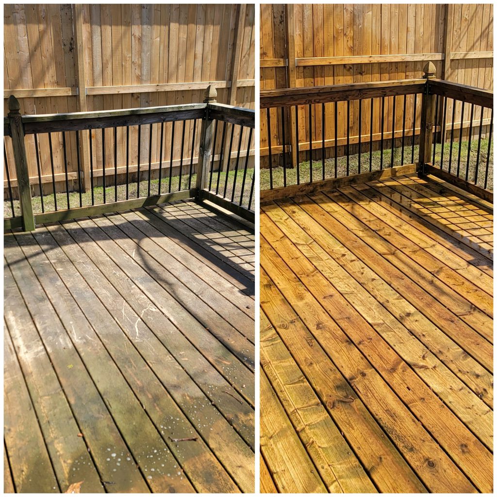 9cef3ae3 1650 43b6 96d7 a9780aae883c 1 1024x1024