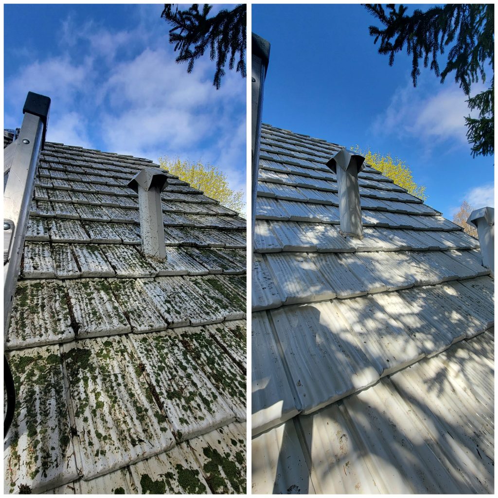 a9fd43aa 61c7 4c6b b2e3 a3ef648d7da8 1024x1024