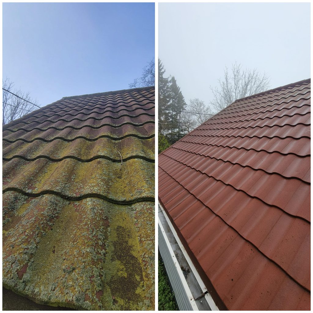 ea51ef77 ce87 41bb beca e88ba607433e 1024x1024